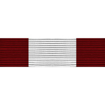 [Vanguard] PHS Ribbon Unit - Association of Military Surgeons of the United States | 약장