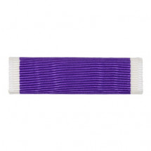 [Vanguard] Ribbon Unit: Purple Heart | 약장