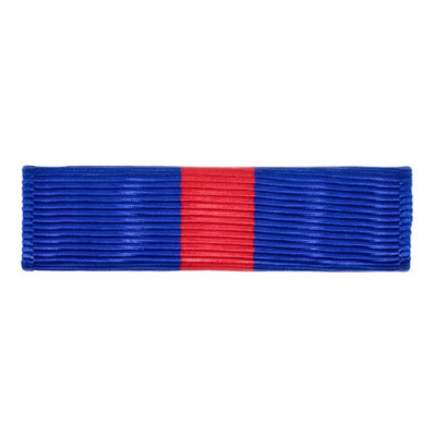 [Vanguard] Marine Corps Ribbon Unit: Recruiting Service | 약장
