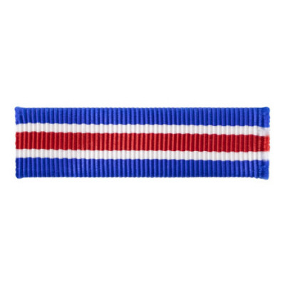 [Vanguard] Army Ribbon Unit: Reserve Component Overseas Training | 약장