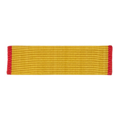 [Vanguard] Ribbon Unit: US Marine Corps Reserve | 약장