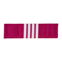 [Vanguard] Ribbon Unit: Army Superior Civilian Service Medal | 약장