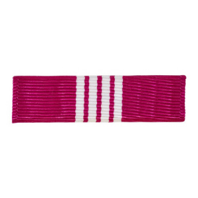 [Vanguard] Ribbon Unit: Army Superior Civilian Service Medal | 약장