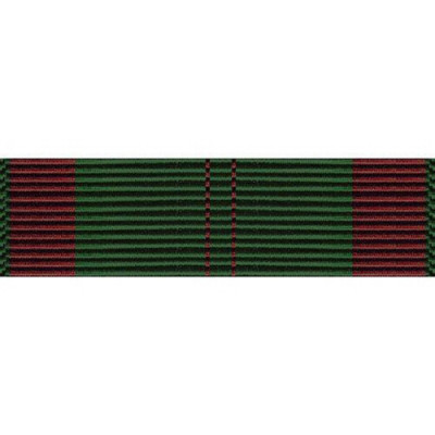 [Vanguard] Ribbon Unit: Vietnam Civil Action First Class | 약장
