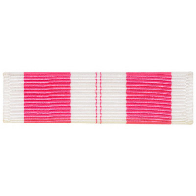 [Vanguard] Ribbon Unit: Vietnam Training Service 1st Class | 약장