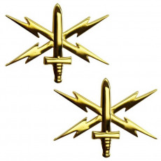 [Vanguard] Army Officer Branch of Service Collar Device: Cyber Warfare - 22k gold plated