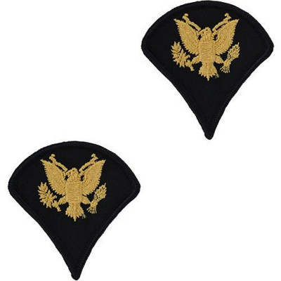 [Vanguard] Army Chevron: Specialist 4 - gold embroidered on blue, male
