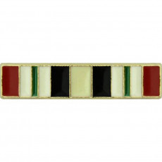 [Vanguard] Lapel Pin: Iraq Campaign