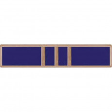 [Vanguard] Lapel Pin: Navy Meritorious Civilian Service Award