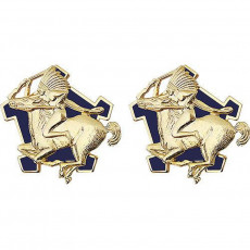 [Vanguard] Army Crest: 9th Cavalry Regiment