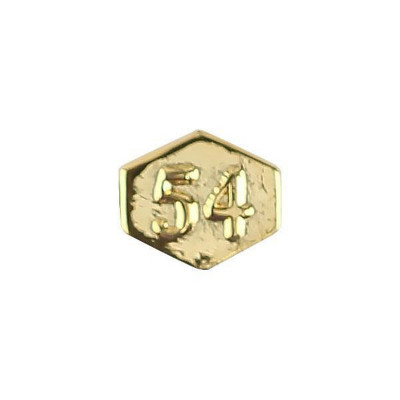 [Vanguard] Army Identification Badge Attachment: Director 54 - gold mirror finish
