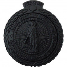 [Vanguard] Army ID Badge: ARNG Recruiting and Retention: Master - black metal