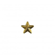 [Vanguard] Army Identification Badge: Gold Star for Recruiter - Hard Corps metal finish