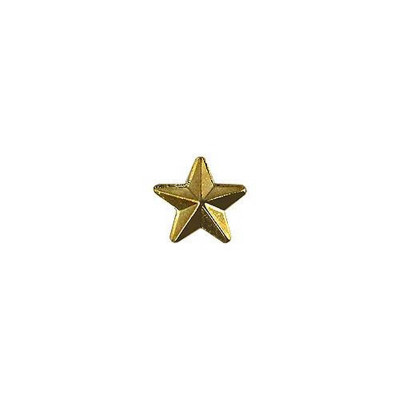 [Vanguard] Army Identification Badge: Gold Star for Recruiter - Hard Corps metal finish