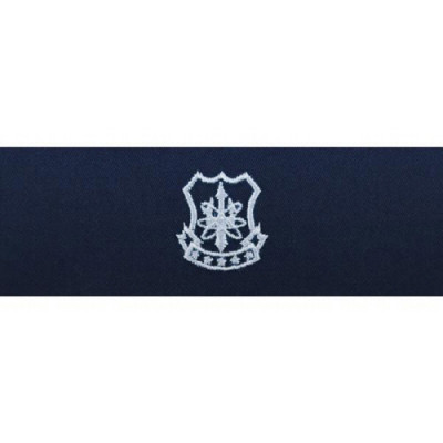 [Vanguard] Navy Embroidered Badge: Nuclear Weapons Security - embroidered on coverall