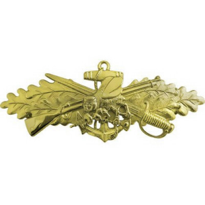 [Vanguard] Navy Badge: Seabee Combat Warfare Specialist Officer