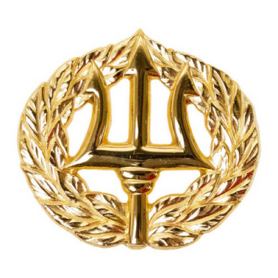 [Vanguard] Navy Badge: Command Ashore - regulation size