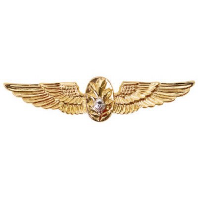 [Vanguard] Navy Badge: Flight Surgeon - regulation size