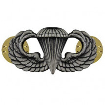 Vanguard Navy Basic Parachutist 미해군 기본 낙하산 흉장 무광