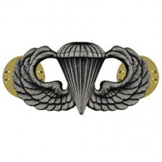Vanguard Navy Basic Parachutist 미해군 기본 낙하산 흉장 무광