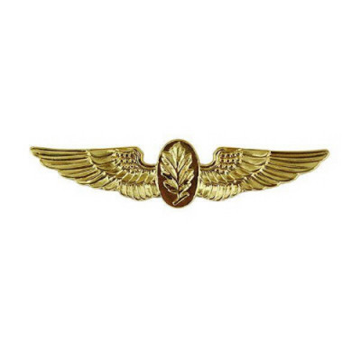 [Vanguard] Navy Badge: Aviation Physiologist - miniature, mirror finish