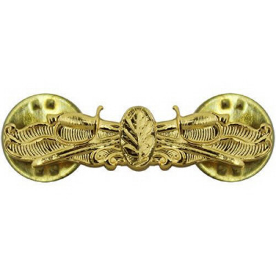 [Vanguard] Navy Badge: Surface Warfare Medical Service - miniature, mirror finish