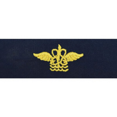 [Vanguard] Navy Collar Device: WO Aviation Operation Technician - coverall