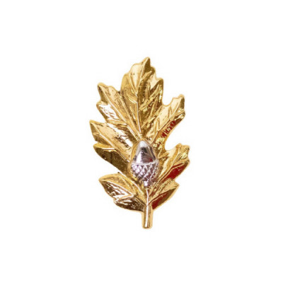 [Vanguard] Navy Collar Device: Medical Corps - gold