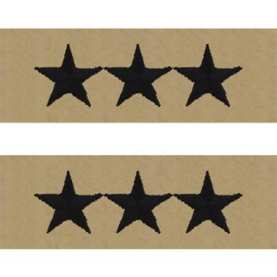 [Vanguard] Navy Embroidered Collar Device: Vice Admiral - embroidered on desert