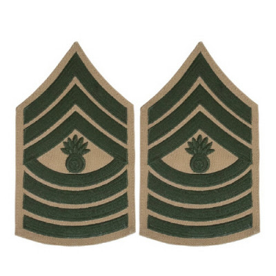 [Vanguard] Marine Corps Chevron: Master Gunnery Sergeant - green on khaki for male